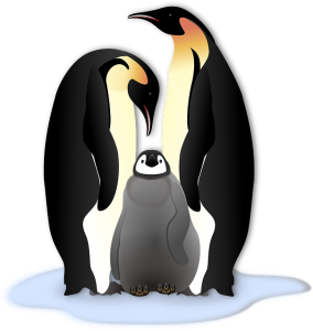https://pixabay.com/en/penguin-animal-bird-cold-family-156669/