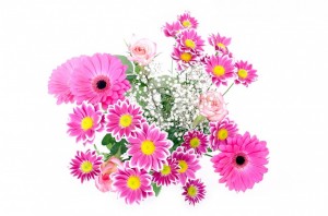 https://pixabay.com/en/flowers-flower-plants-nature-macro-163716/