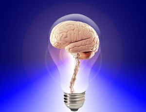 https://pixabay.com/en/brain-think-human-idea-20424/