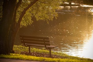https://pixabay.com/en/bench-park-pond-lake-water-801727/