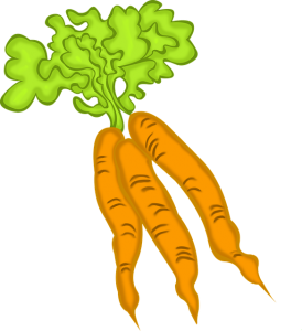 https://pixabay.com/en/carrots-vegetable-vegetarian-food-768236/