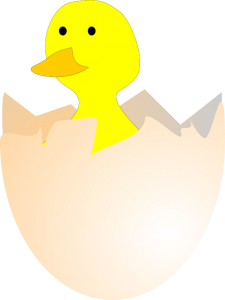 https://pixabay.com/en/chick-hatching-egg-egg-shell-155546/