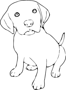 https://pixabay.com/en/dog-pup-puppy-labrador-lab-34289/