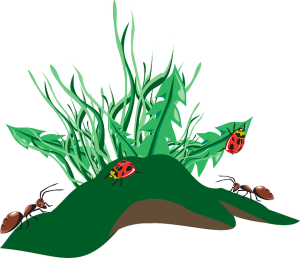 https://pixabay.com/en/grass-insects-dirt-weeds-ants-46135/