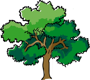 https://pixabay.com/en/oak-tree-summer-branches-leaves-309878/