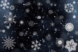 https://pixabay.com/en/snowflake-snow-snowing-winter-cold-554635/