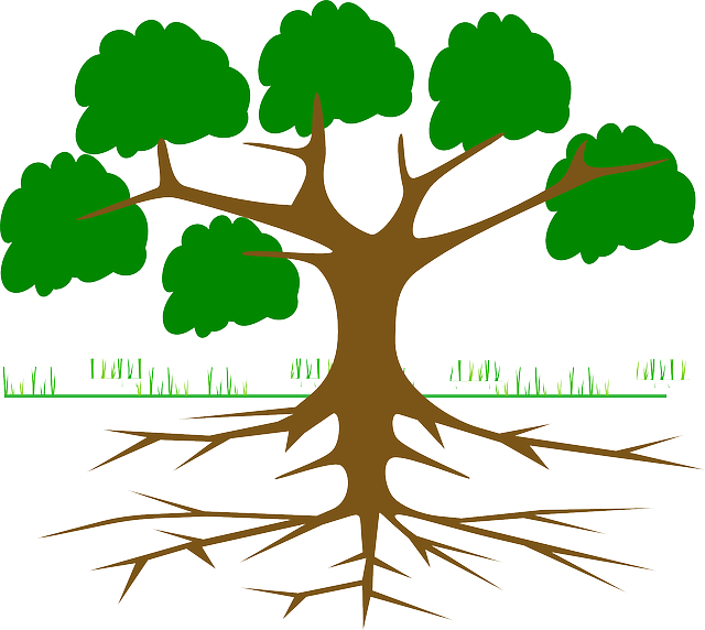 https://pixabay.com/en/tree-branches-root-eco-ecology-309046/