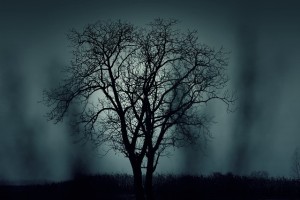 https://pixabay.com/en/tree-silhouette-mysterious-407256/