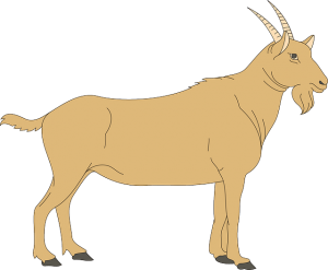 https://pixabay.com/en/brown-view-barn-farm-goat-side-44670/