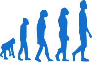 http://pixabay.com/en/evolution-monkey-man-transition-296400/