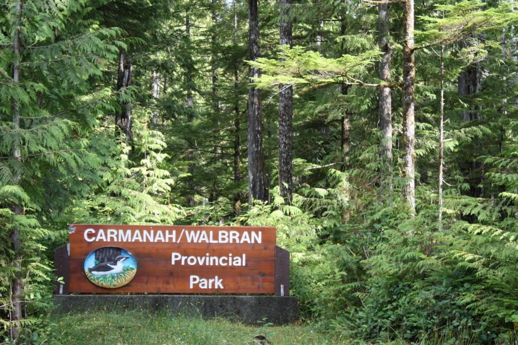 A forest with a sign saying "Carmanah/Walbran Provincial Park."
