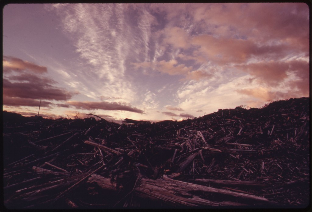 A clearcut forest. The ground is covered with logs and branches. No trees are standing.