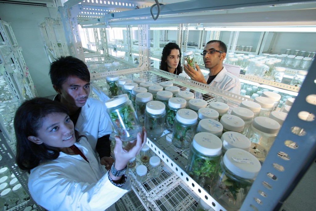 Scientists examine plants in jars in a lab full of jars on shelves.