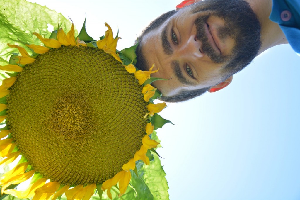 https://pixabay.com/en/sunflower-day-solar-men-s-face-755272/