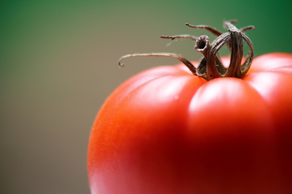 Close-up of a ripe, red tomato.