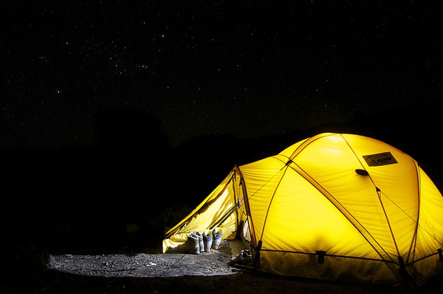 Camping in the woods