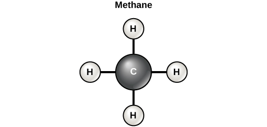 Organic Molecules Contrast Chart Answers