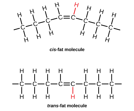 simple saturated fat molecule