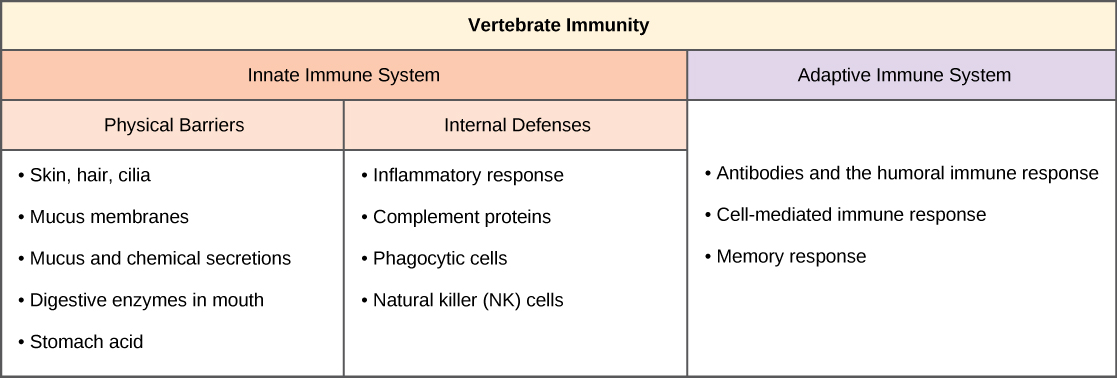 innate immunity physical barrier