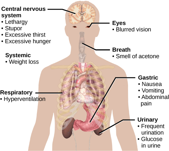 18-3-regulation-of-body-processes-concepts-of-biology-1st-canadian