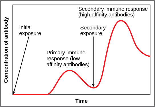 immune response graph