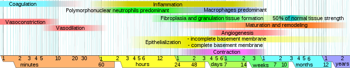 Wound Staging Chart