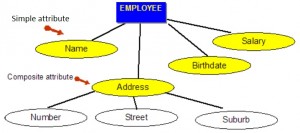 Blue rectangle with the word EMPLOYEE. Under this are four yellow ovals with the words Name, Address, Birthdate, Salary. There are lines between the rectangle and yellow ovals. Under the Address oval are three white ovals with the words Number, Street, Suburb. 