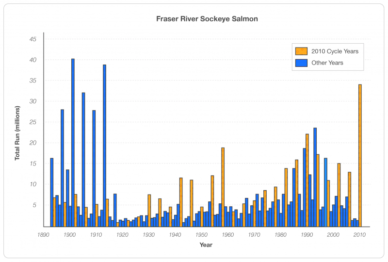 Figure 1 Fraser River Sockeye Salmon