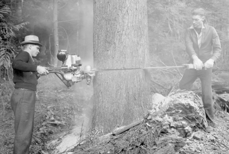 Figure 1. Men felling a tree with a motorized saw 1942