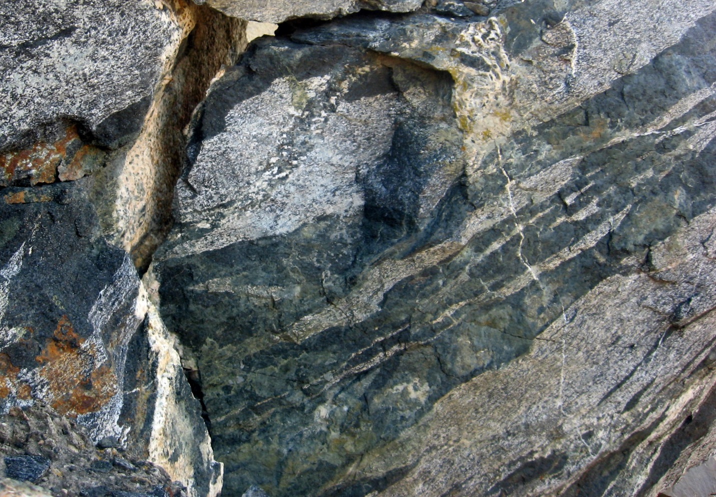 metamorphic rock gneiss