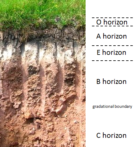 how to make soil profile model