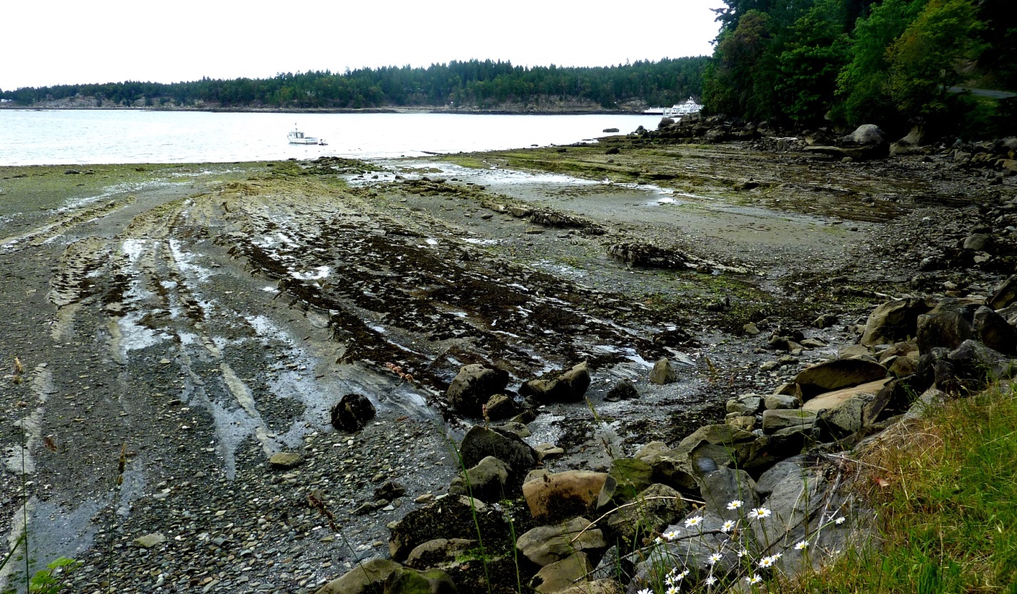 beach landform