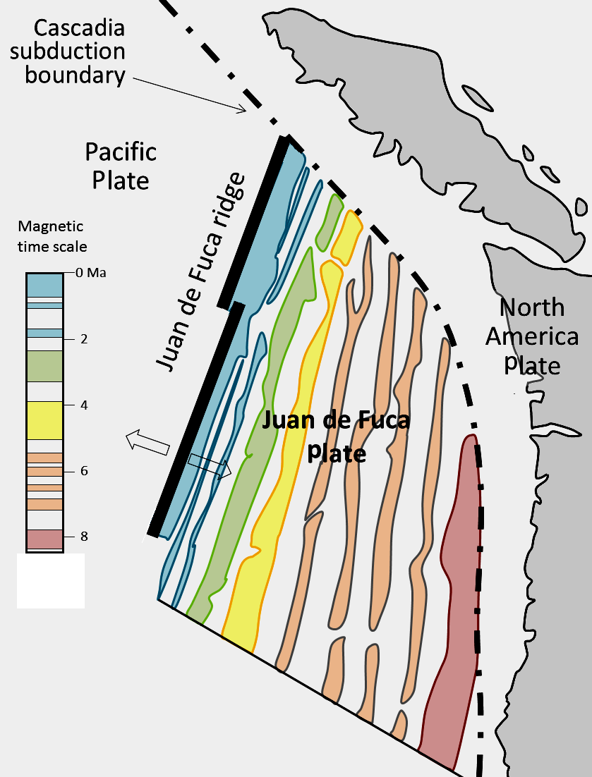 18 2 The Geology Of The Oceanic Crust Physical Geology