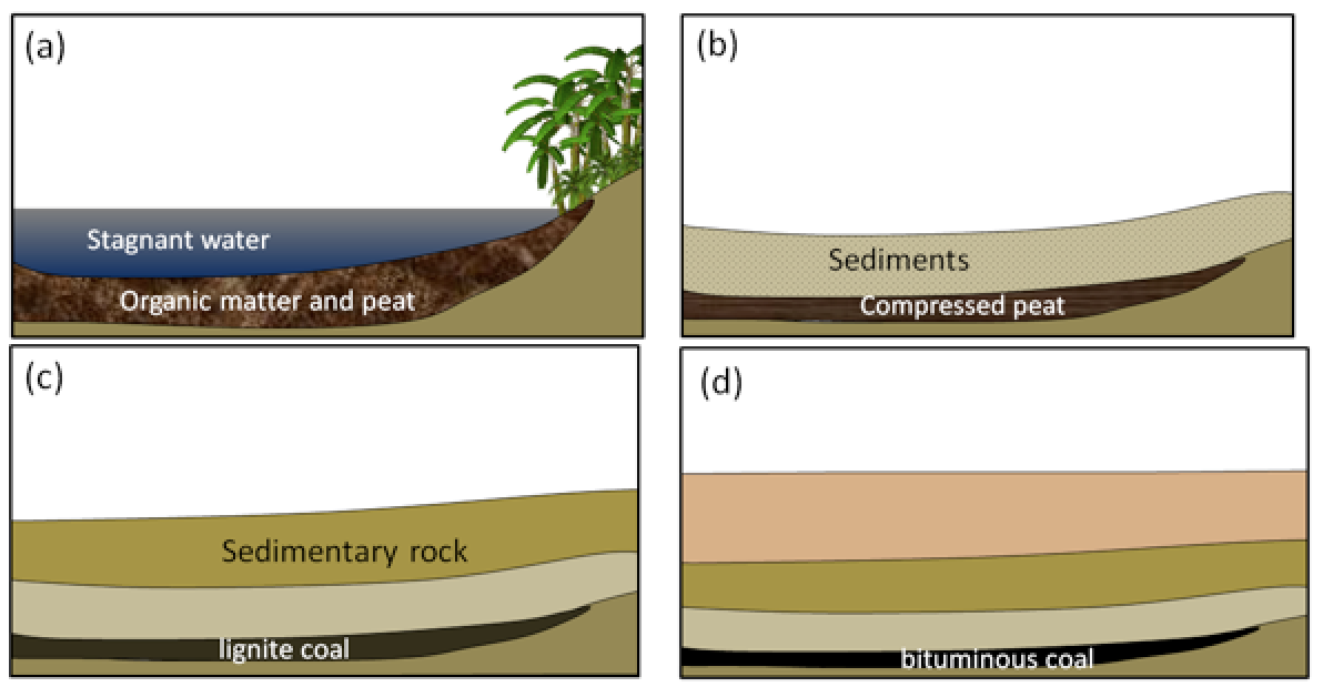 20-3-fossil-fuels-physical-geology