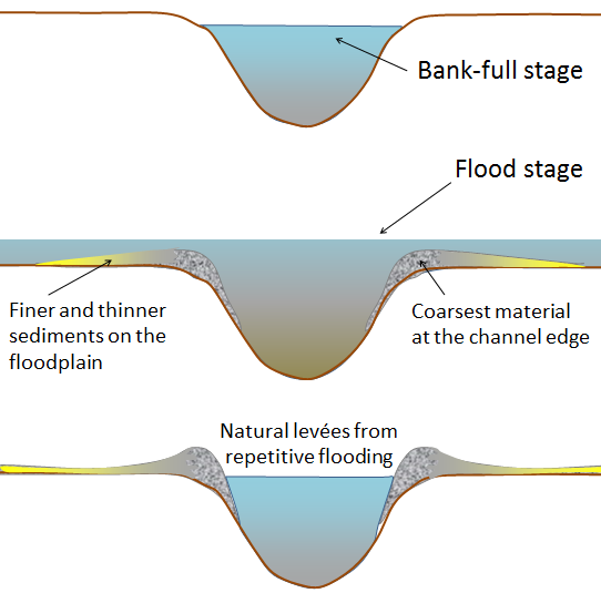The development of natural levées during flooding of a stream. The sediments of the levée become increasingly fine away from the stream channel, and even finer sediments — clay, silt, and fine sand — are deposited across most of the flood plain. [SE]