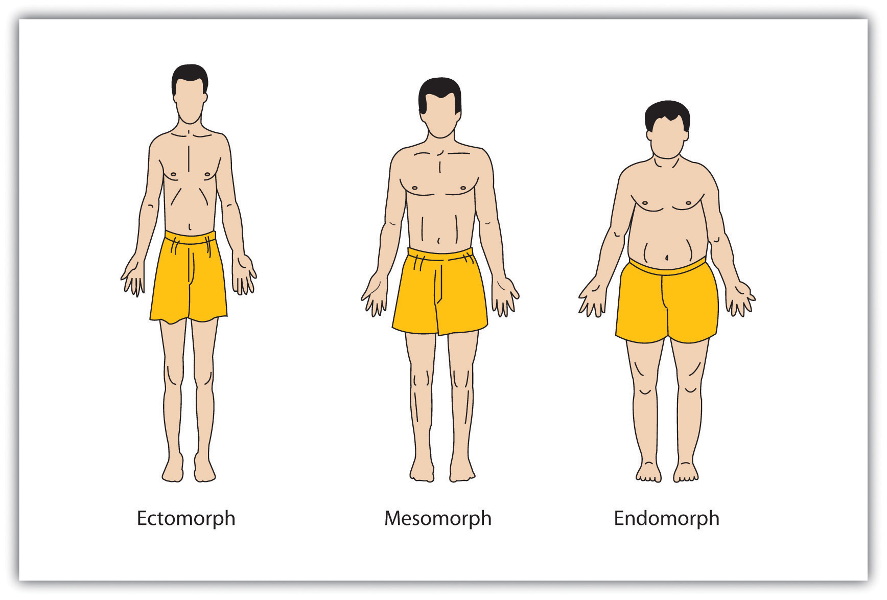 Personality Traits Classification of the Study Data