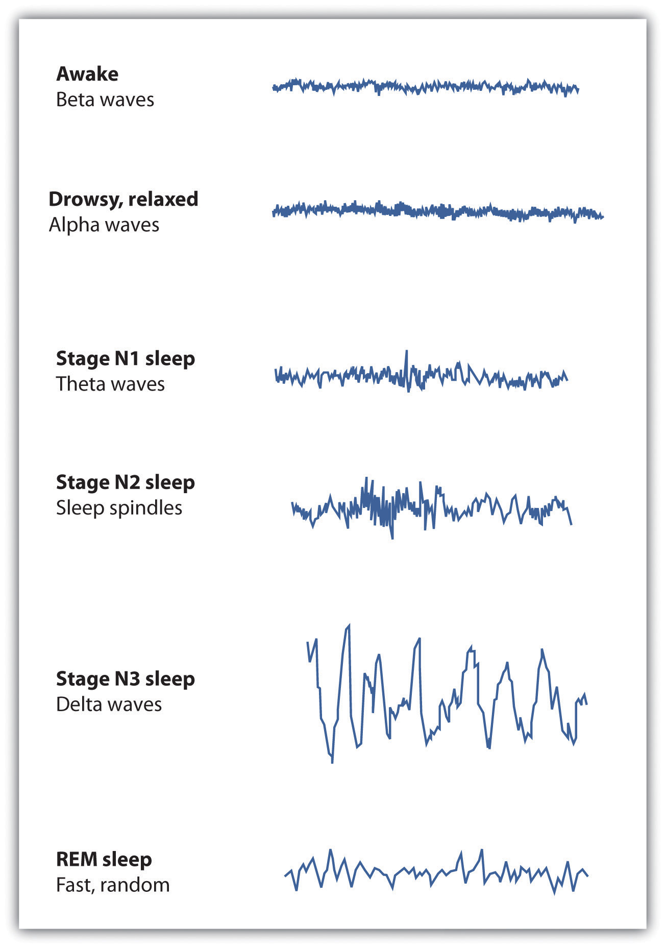 Stages Of Sleep Chart