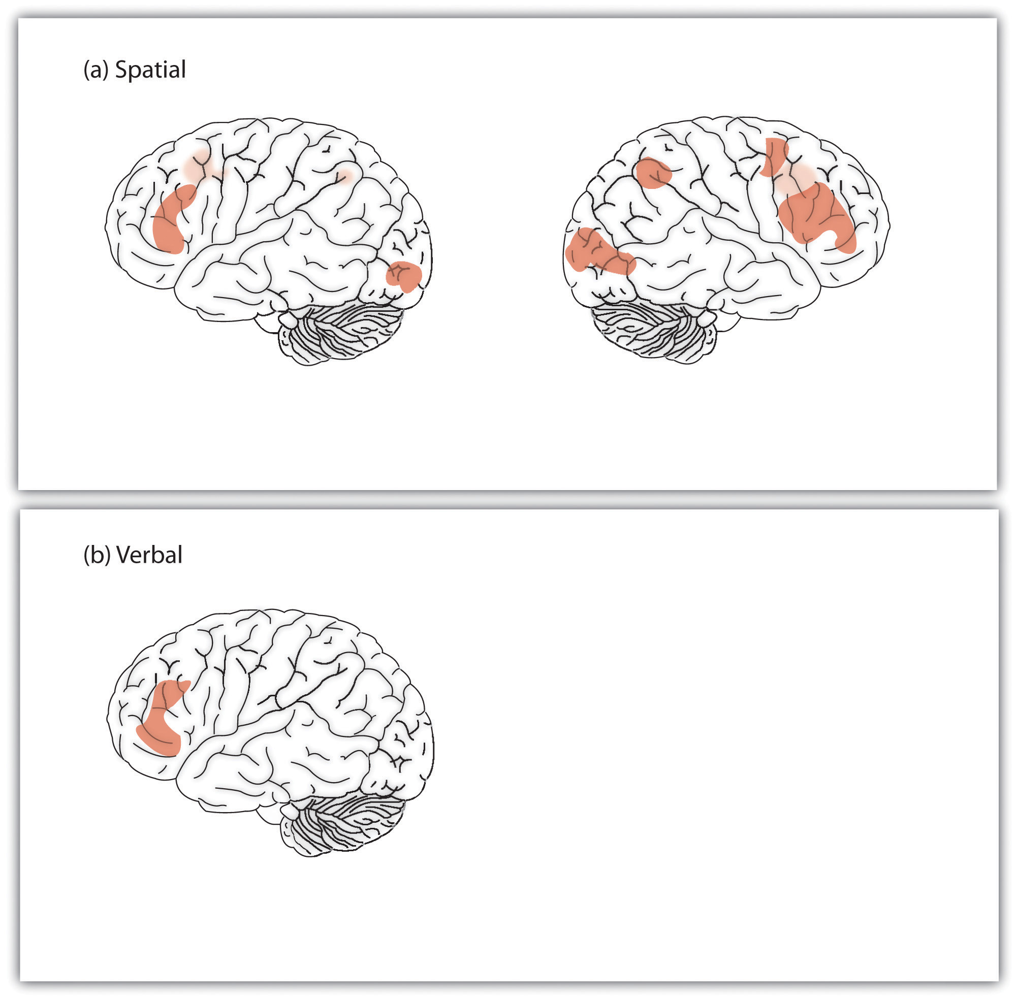 Solved An IQ test is an assessment that measures a range of