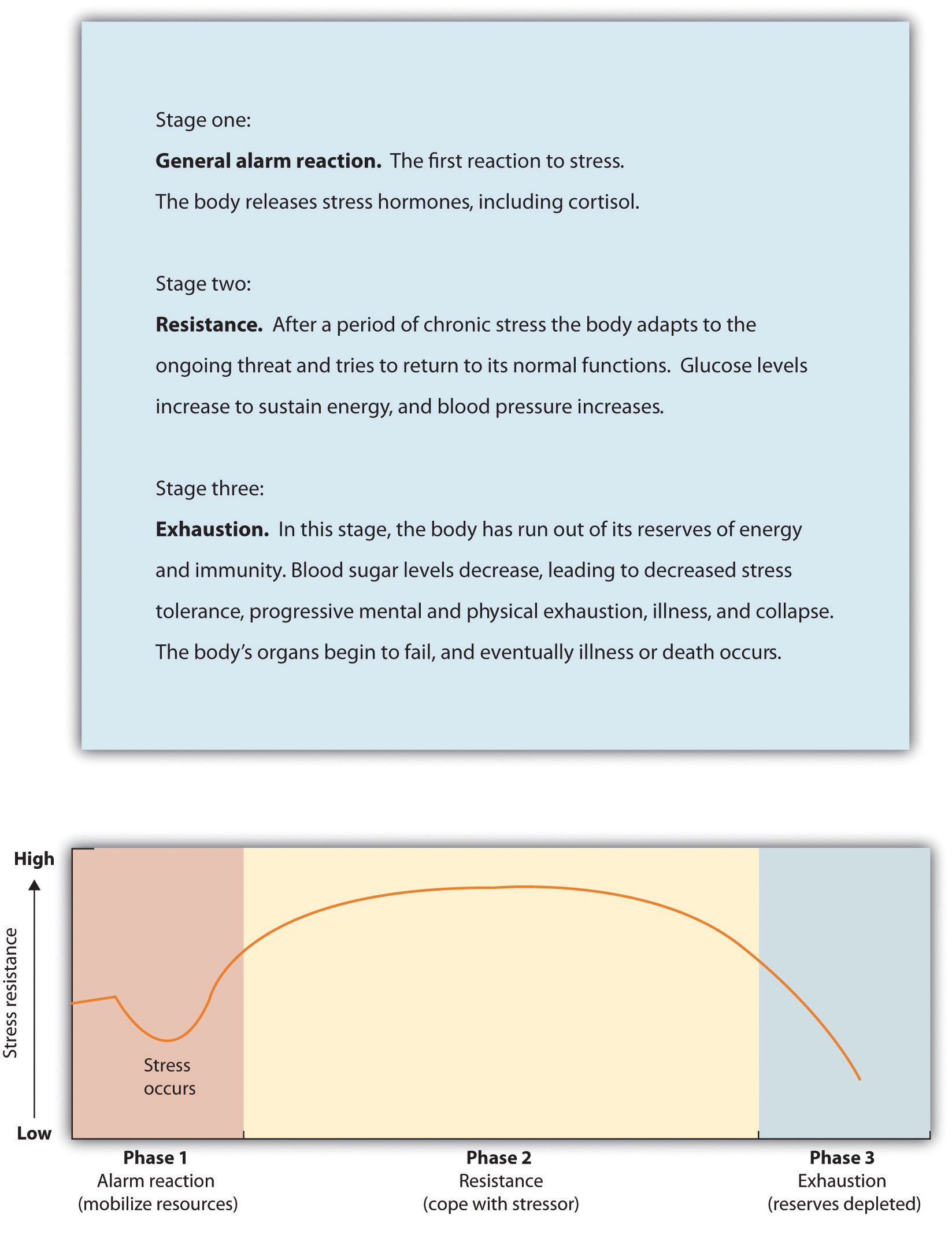 Stage 3 Chronic Stress The Silent Strain