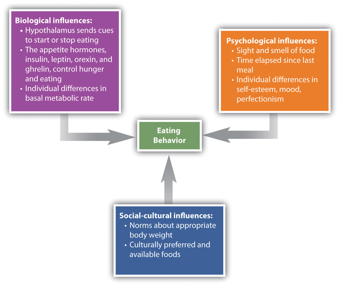 11.4 Two Fundamental Human Motivations Eating and Mating