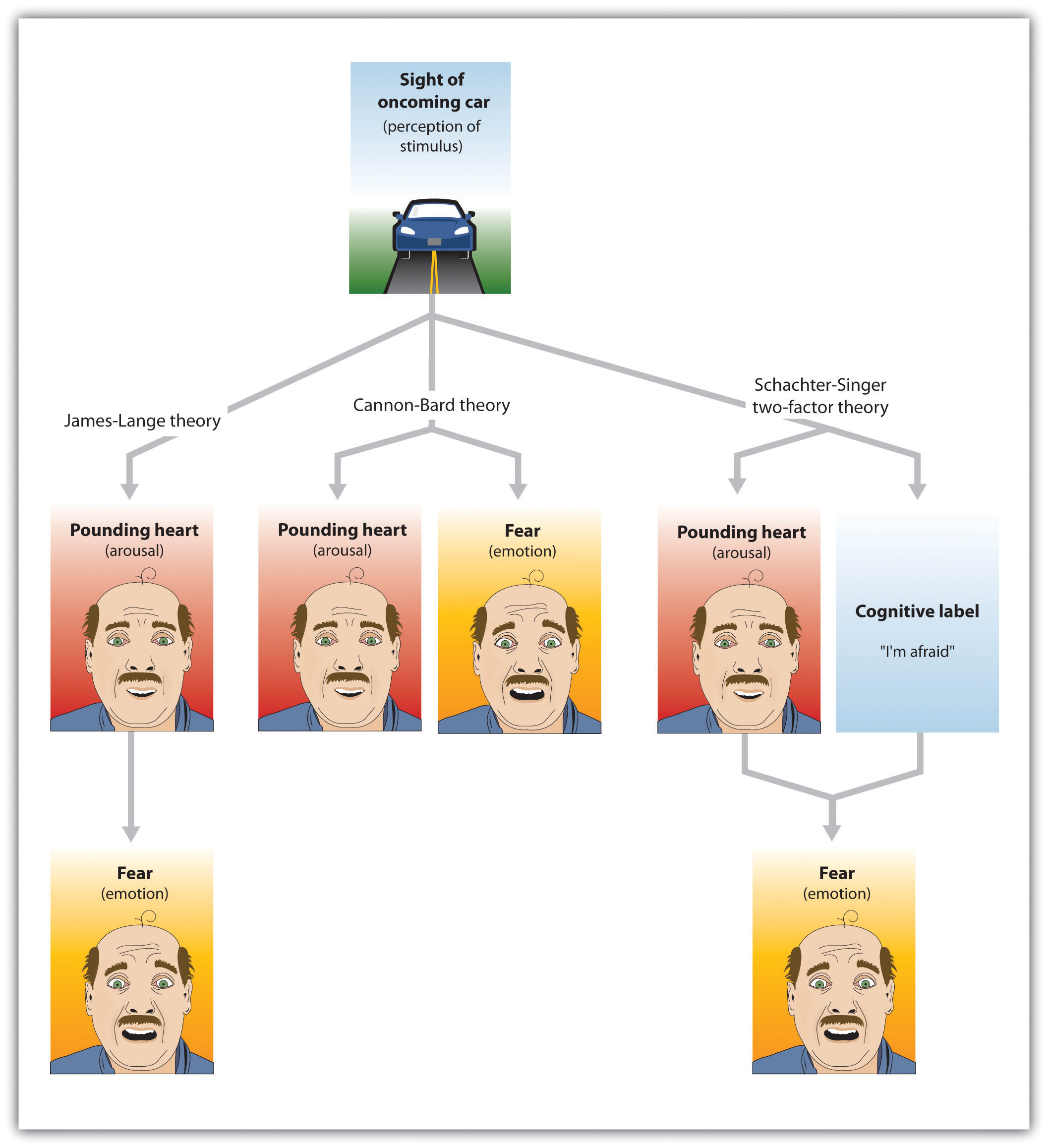 Theories Of Emotion Chart