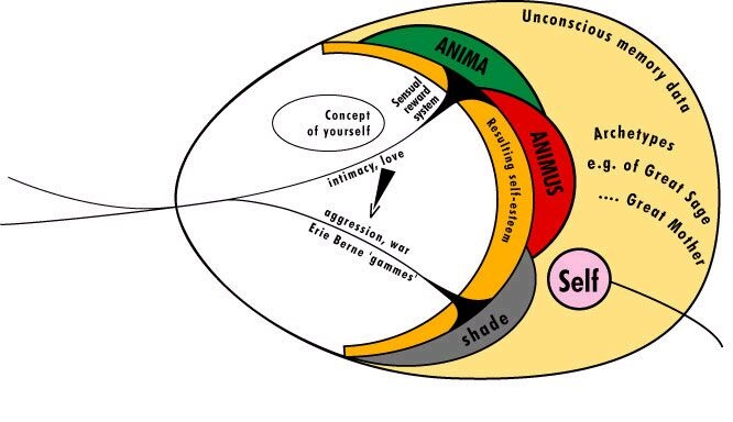 Carl Jung Stages Of Development Chart