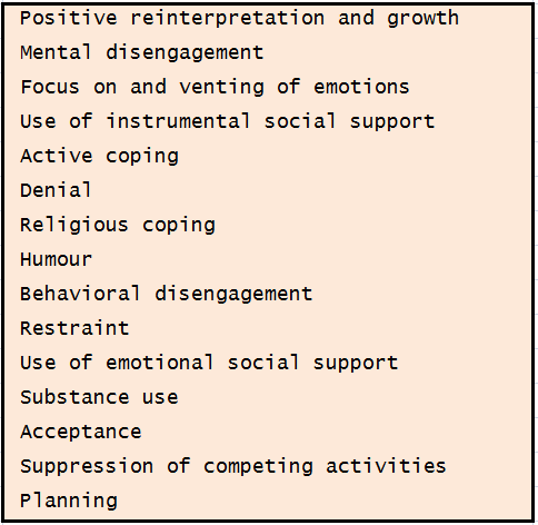 Literature review on coping strategies