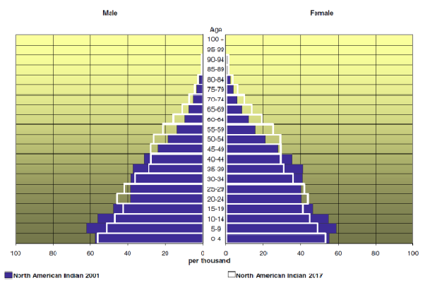 Two population pyramids, one overlapping the other, for the Canadian Aboriginal population. The graph is divided to show separate data for male and female.