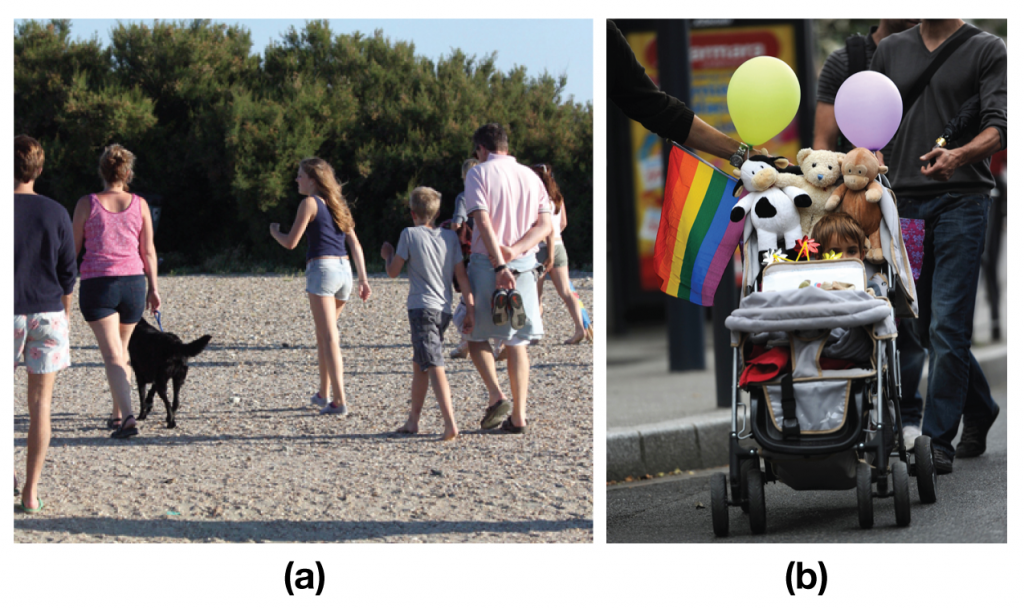 Photo (a) shows a family walking with a dog on a beach; Photo (b) shows a child in a stroller being pushed by two men.