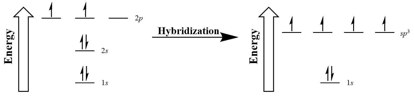 Figure #.#. Hybridization of carbon to generate sp3 orbitals.