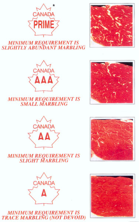 Beef Quality Grade Chart