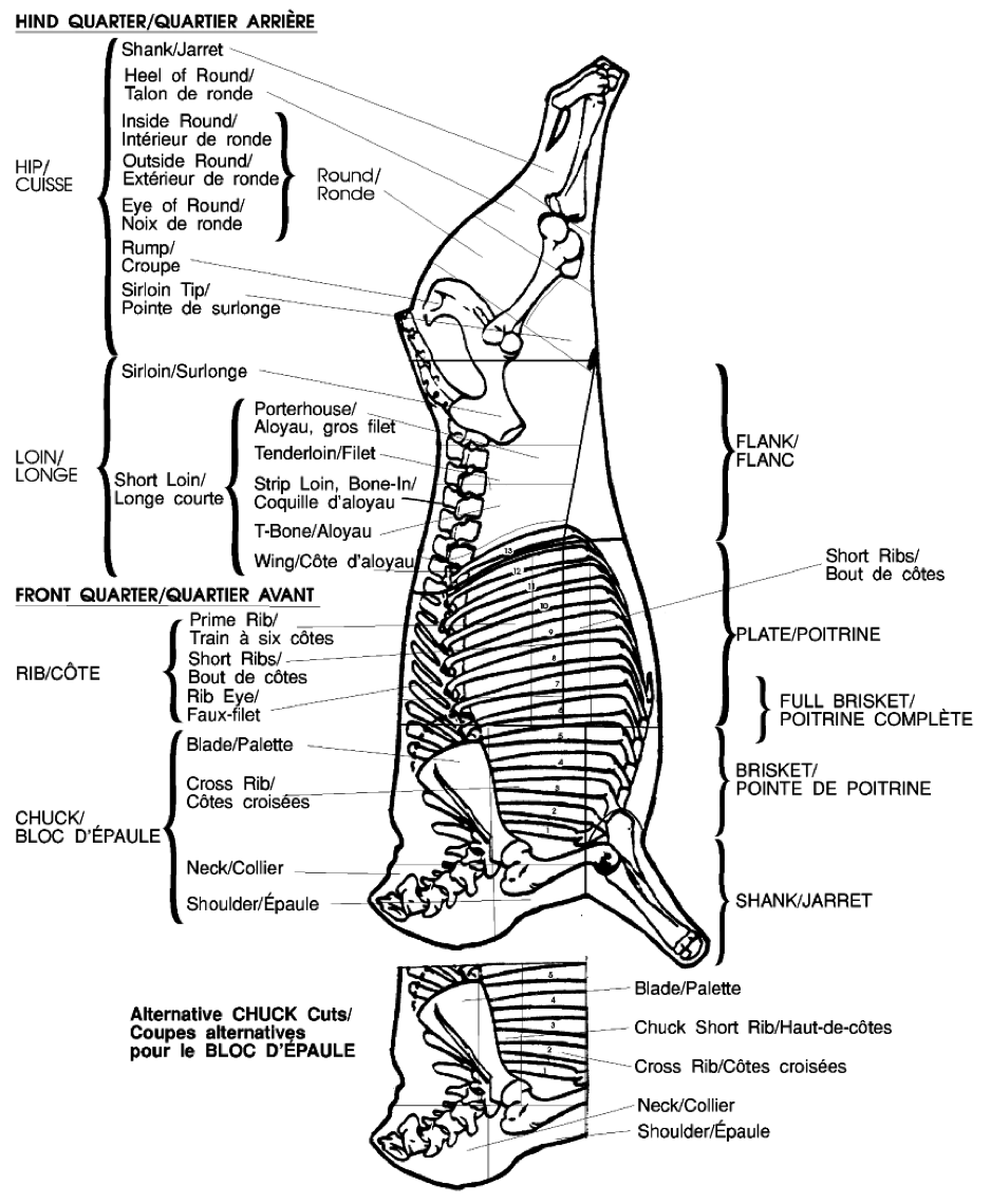 What Is the Beef Round Primal Cut?