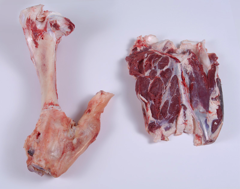 Composition of Meat – Meat Cutting and Processing for Food Service