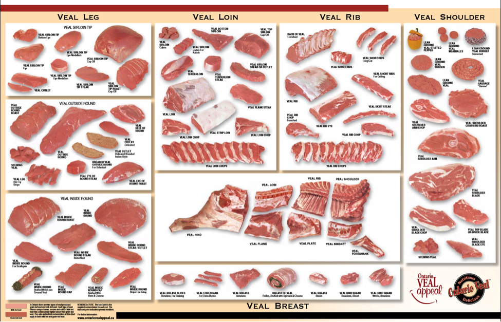 Beef Primals Chart